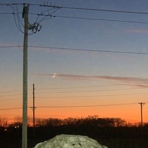 Meet your Posher, Ricky